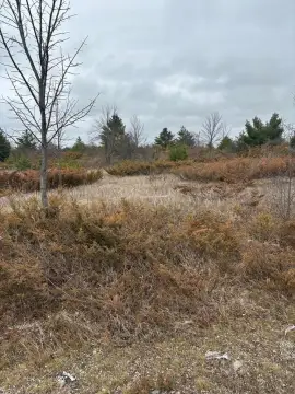 Spacious Homesite Near Sister Bay