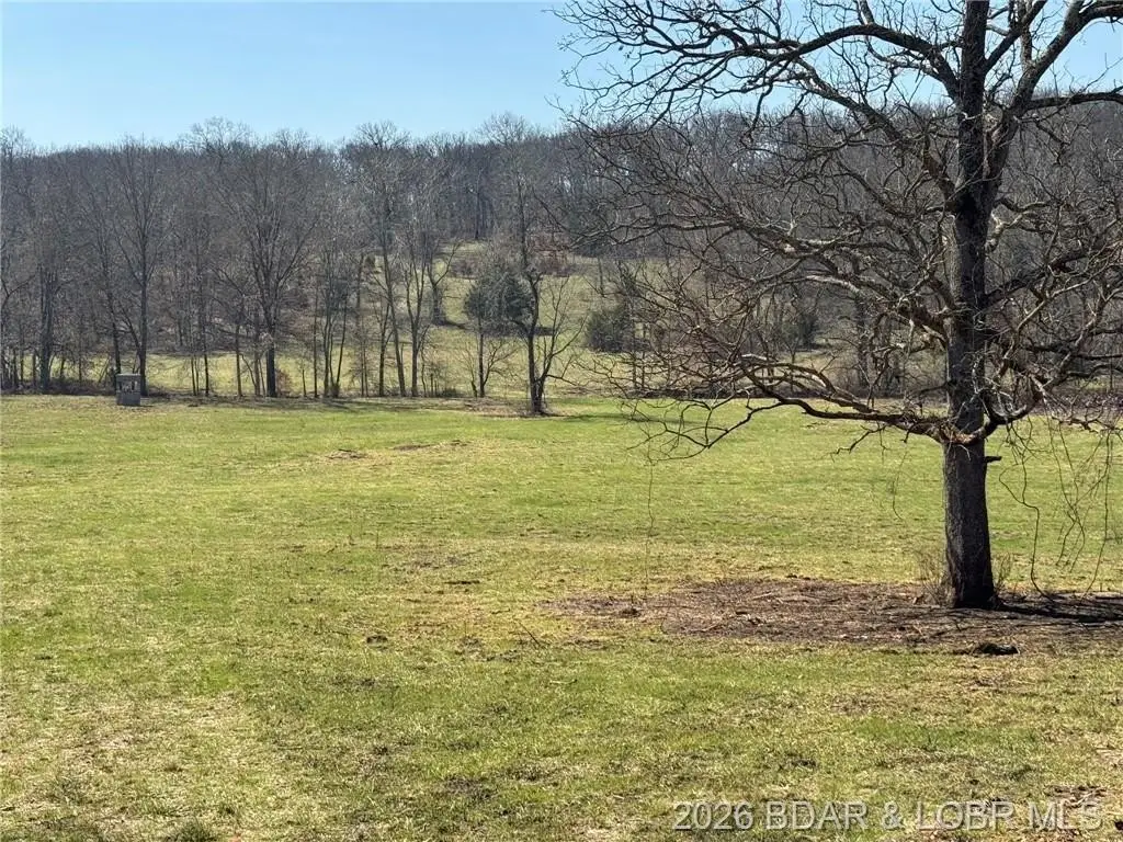 Picture 15