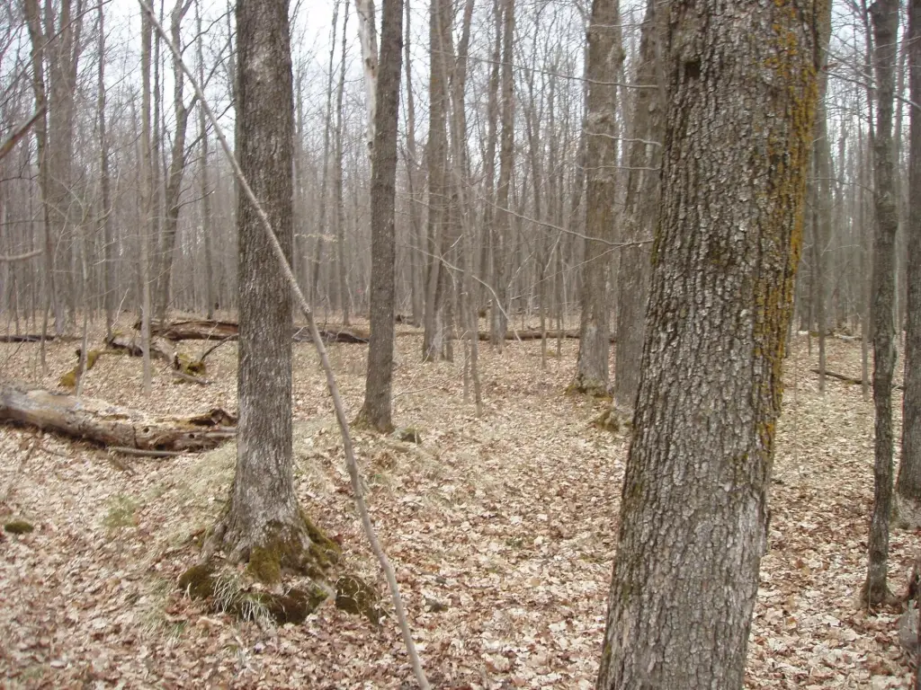 Picture 3