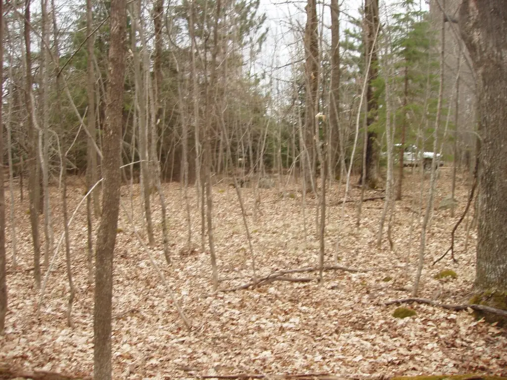 Picture 4