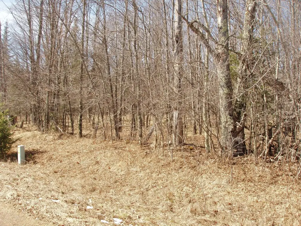Picture 2