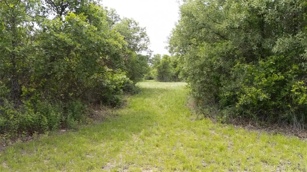 Picture 30