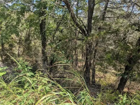 Holiday Island Wooded Lot