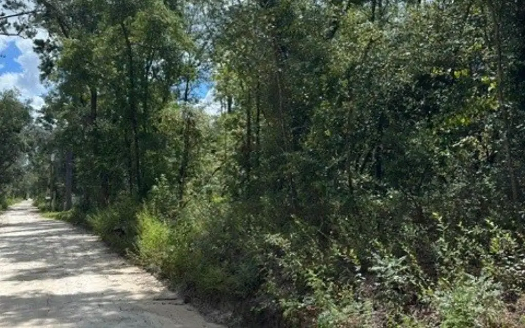 Picture 2
