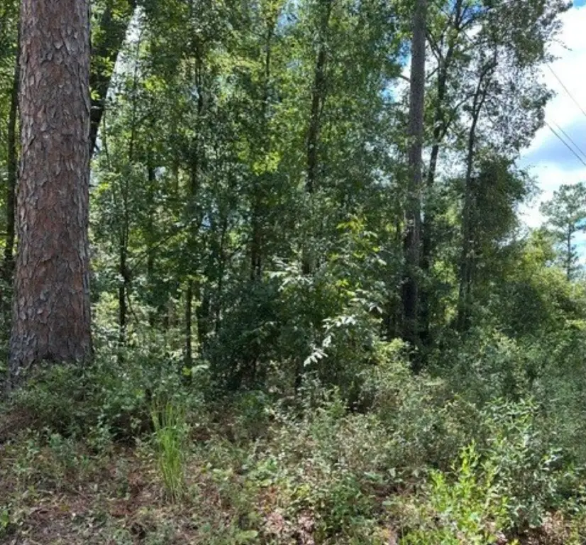 Picture 3