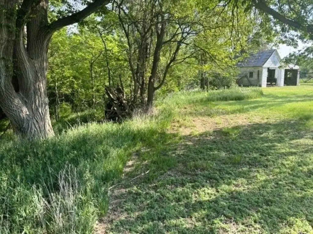 Picture 27