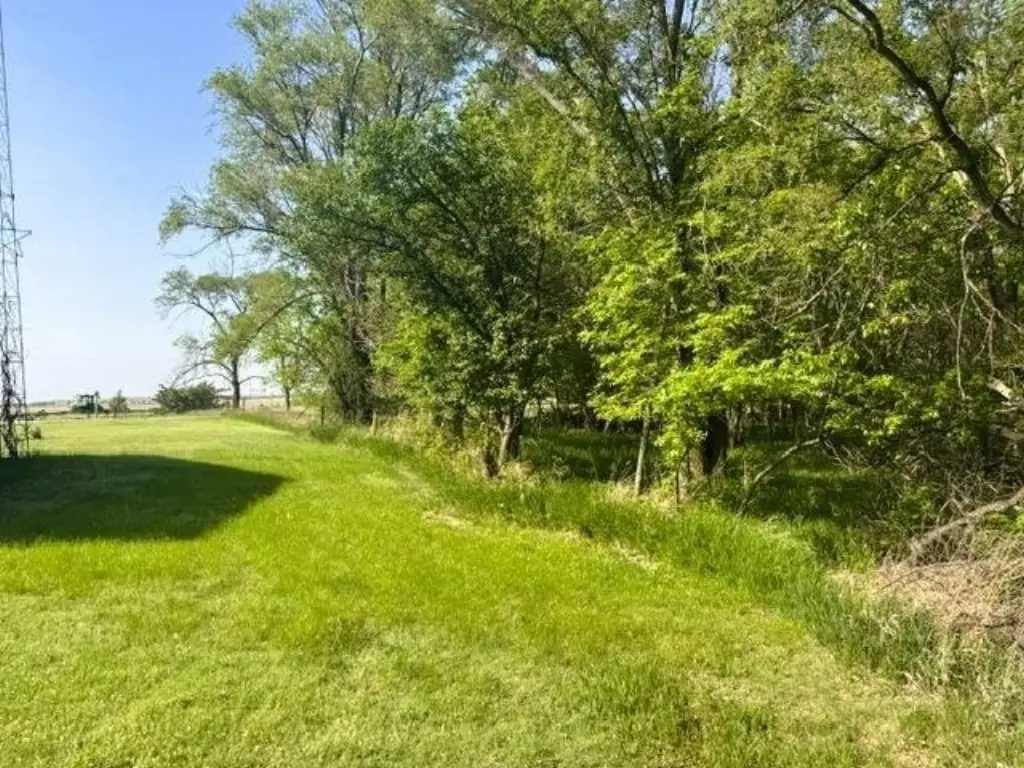 Picture 26