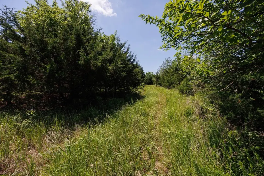 Picture 20