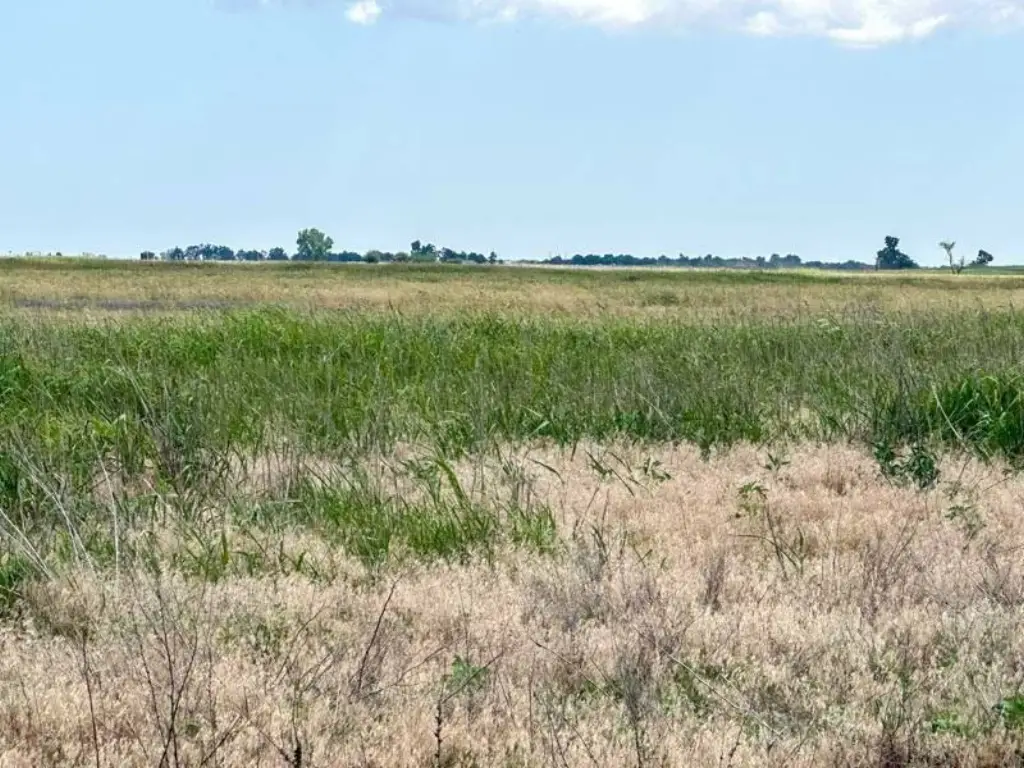 Picture 21