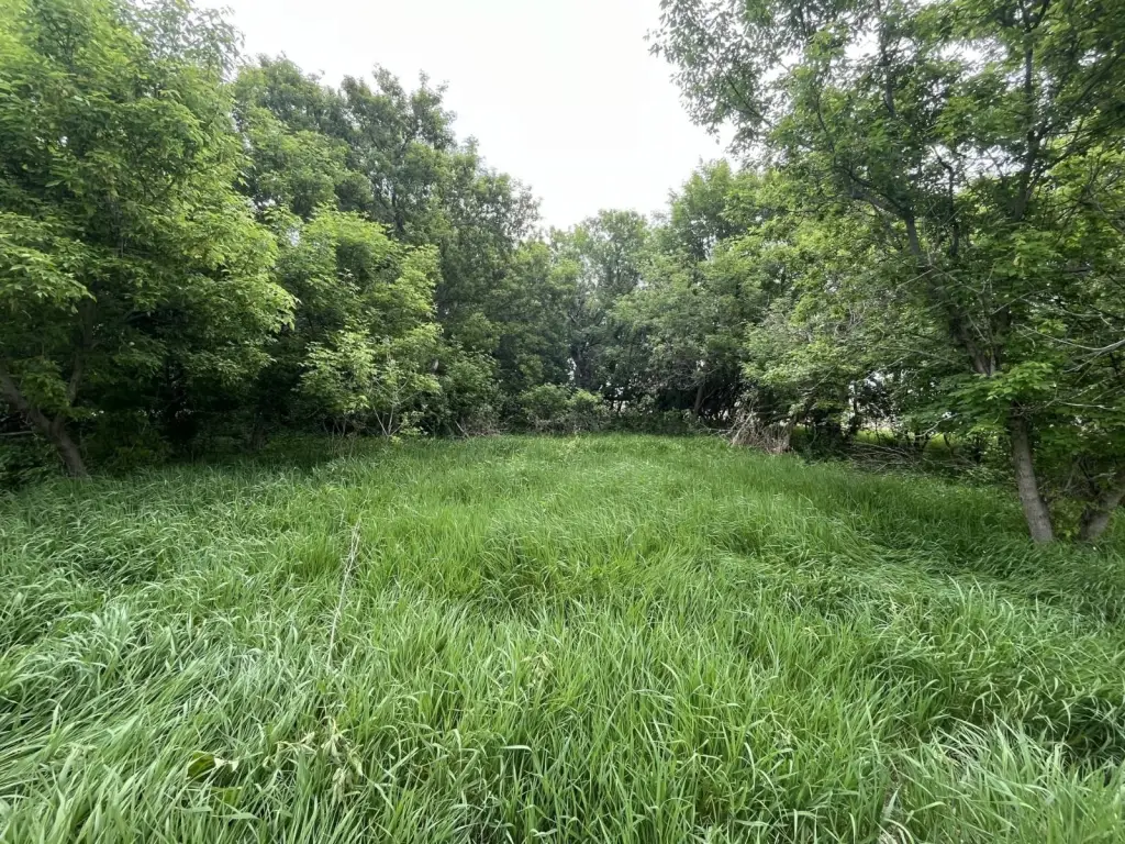 Picture 28