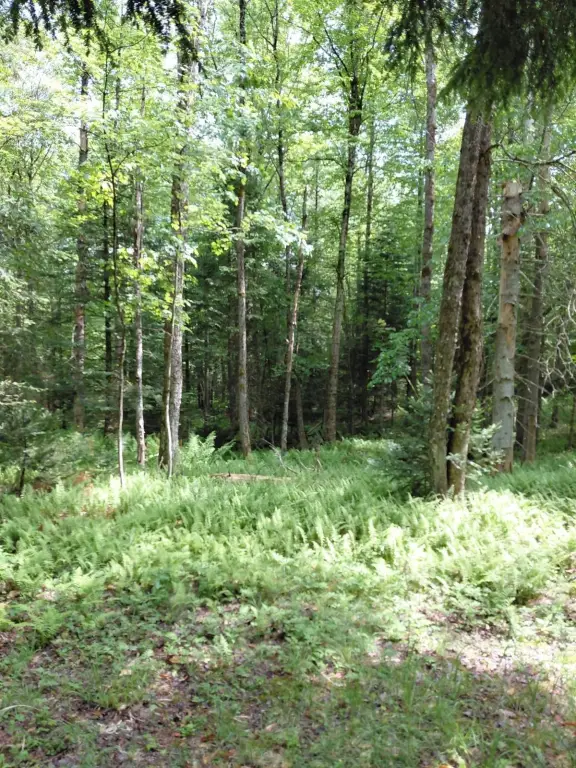 Picture 9