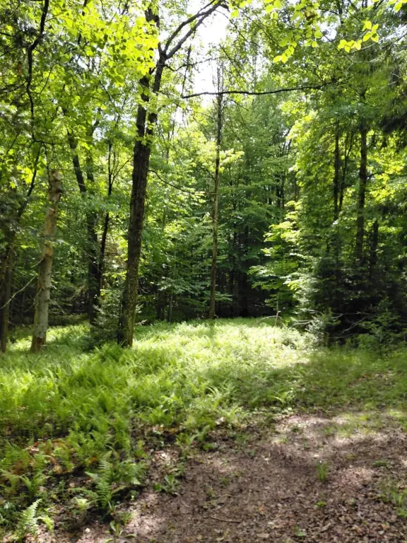 Picture 8