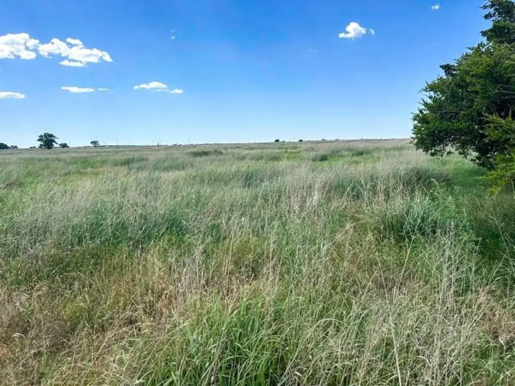 Picture 25