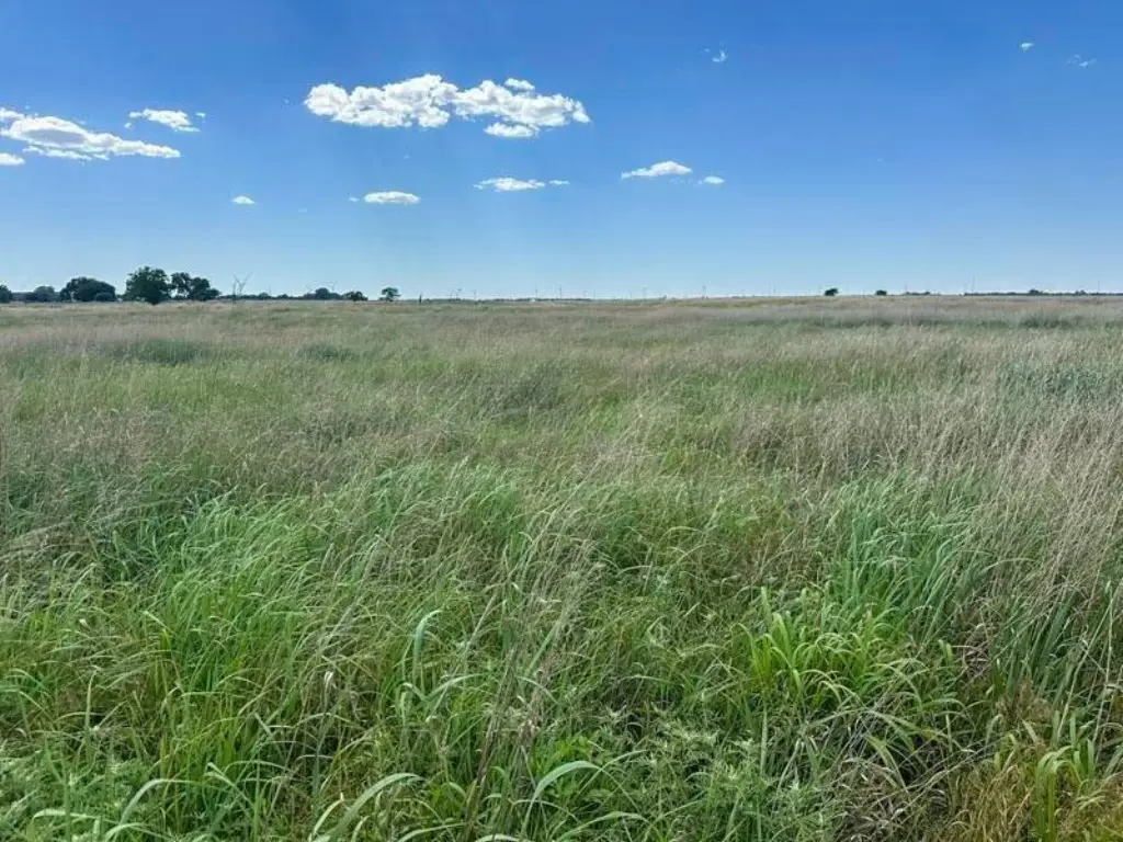 Picture 26
