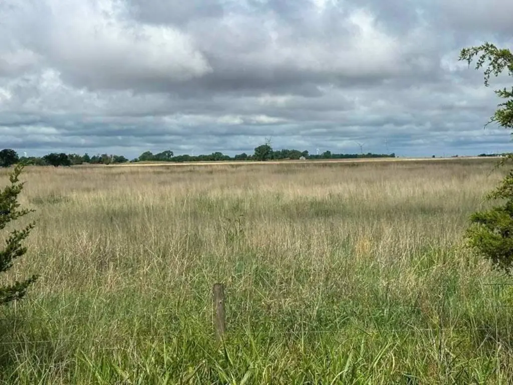 Picture 19