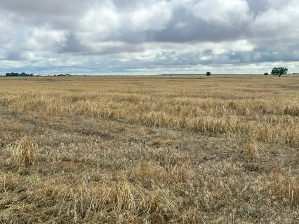 Picture 15