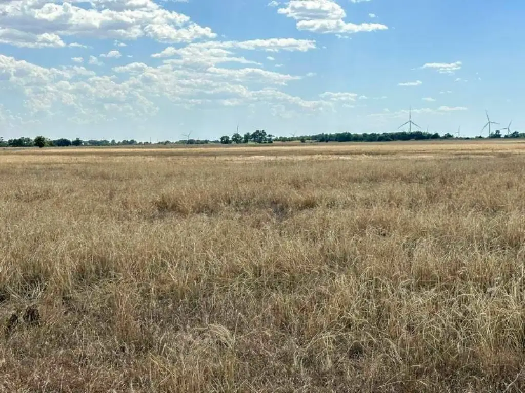 Picture 29