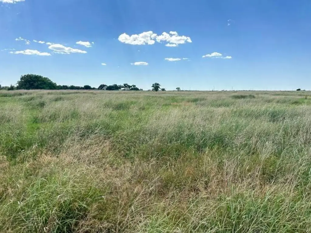 Picture 24