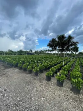 4.96 Acres Fenced Land