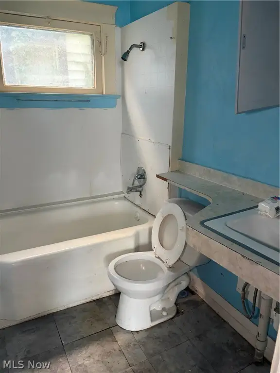 Picture 25