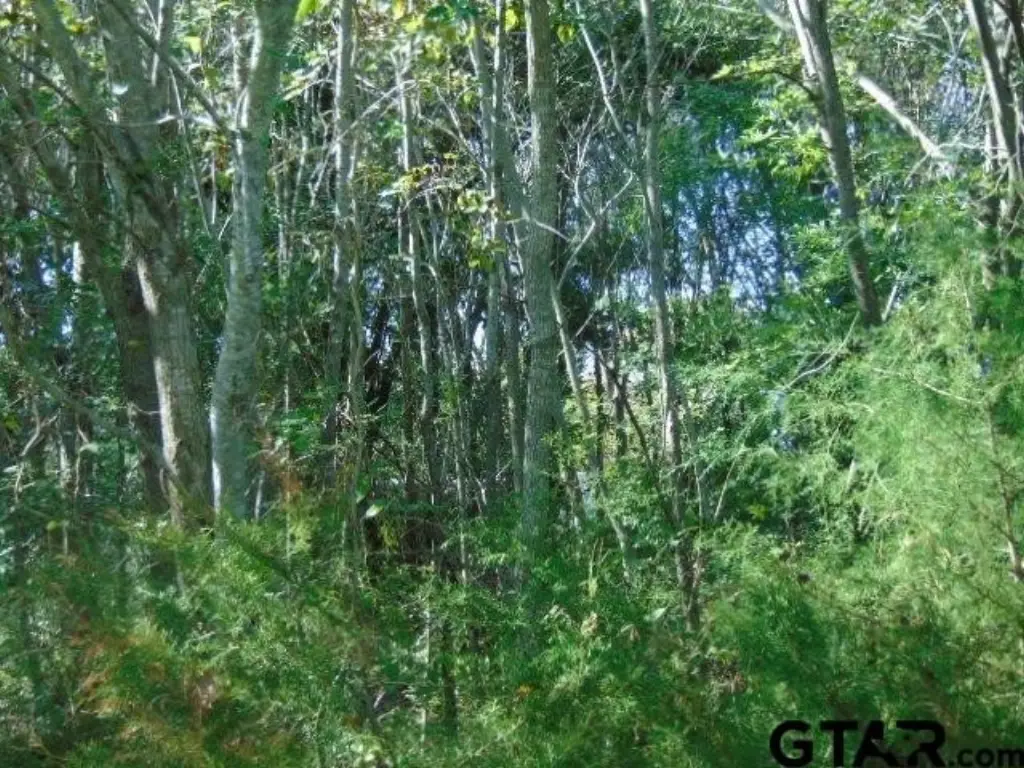 Picture 24