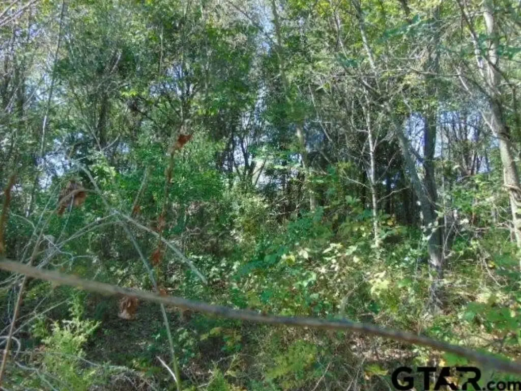 Picture 25