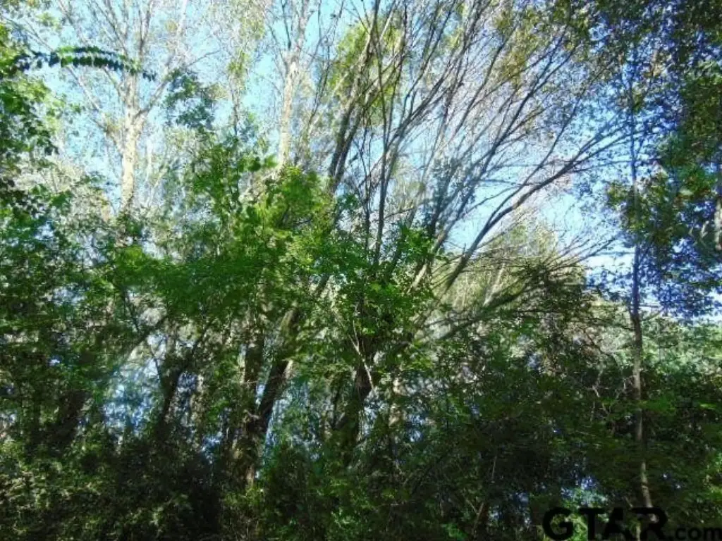 Picture 16