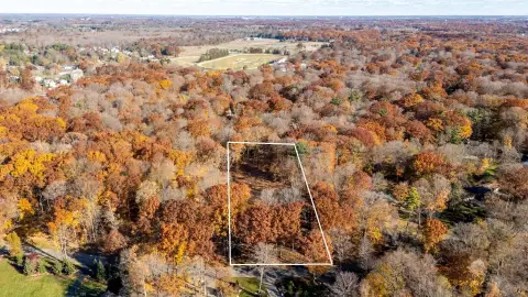 Land in Waukazoo Woods