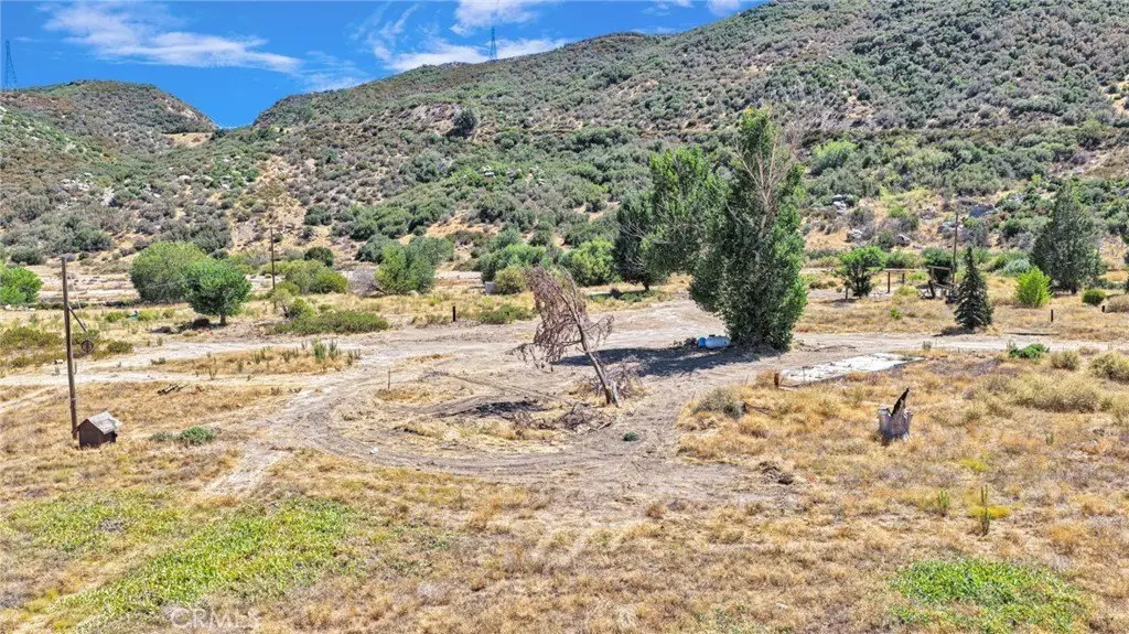 Picture 23