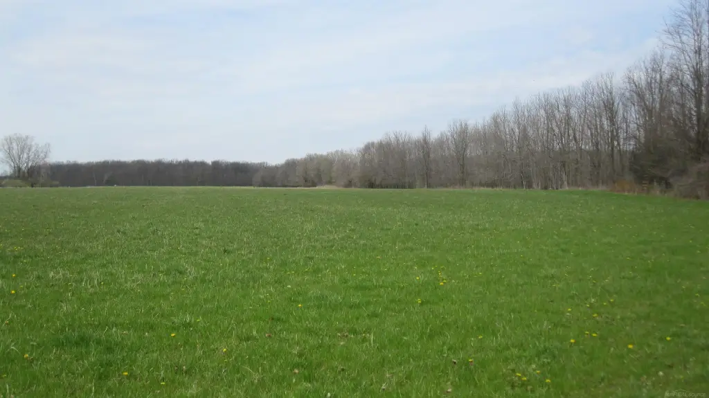Picture 16
