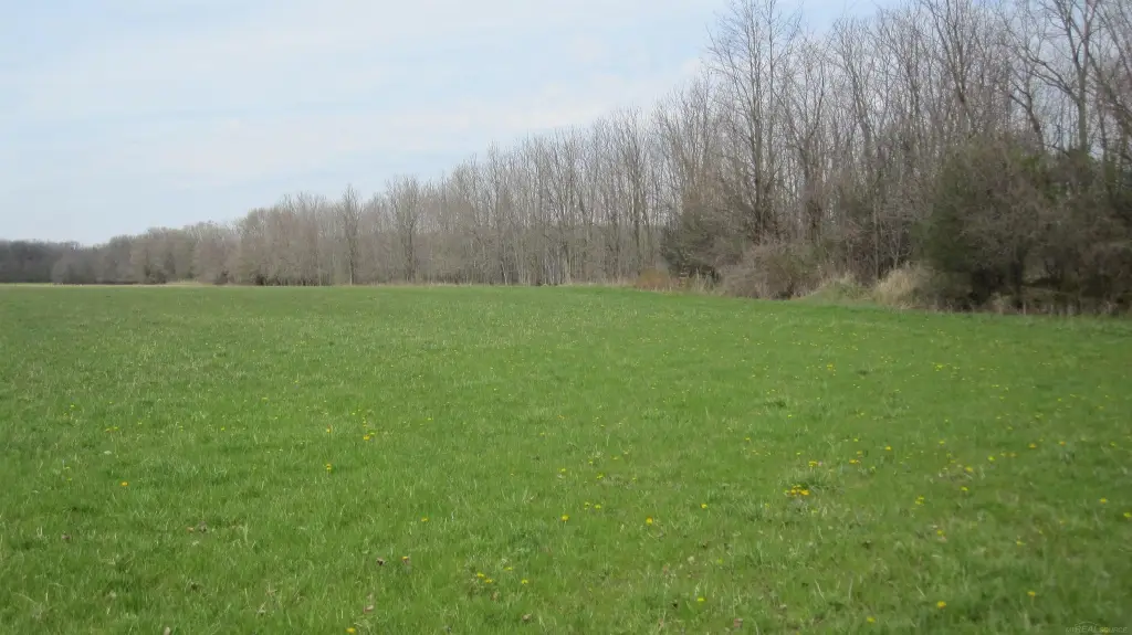 Picture 15