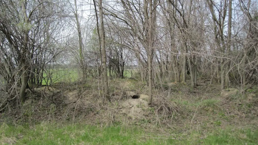 Picture 12