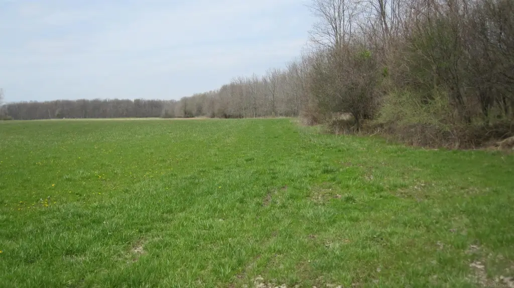 Picture 6