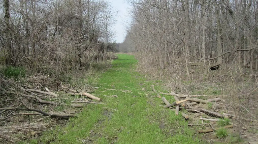 Picture 9