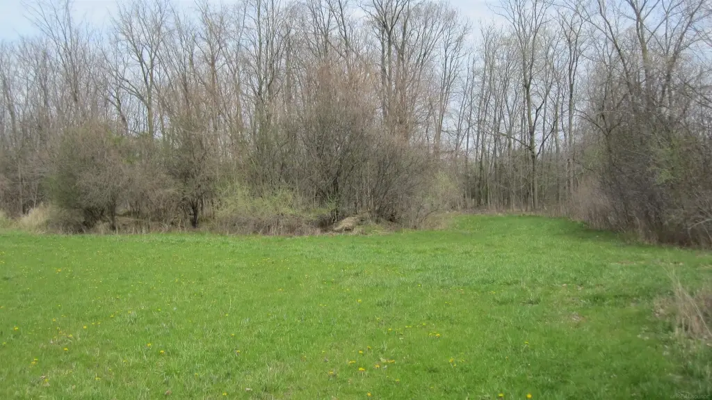 Picture 14