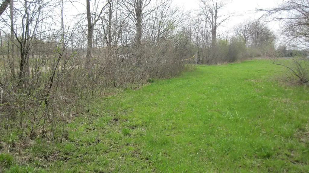 Picture 11