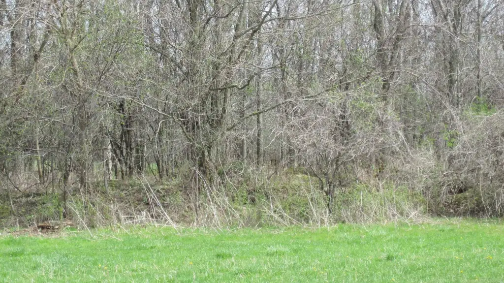Picture 18