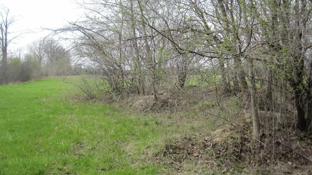 Picture 10