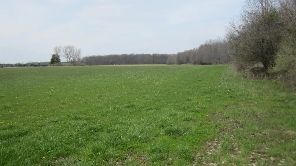 Picture 13