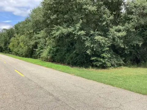 Residential Land in Headland, AL