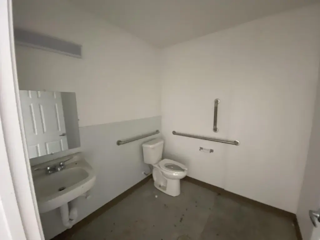 Picture 3