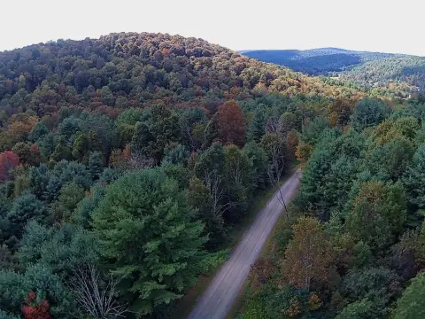 53.25 Acres Wooded Land