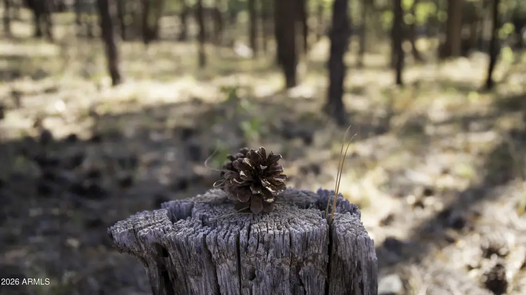 Picture 49