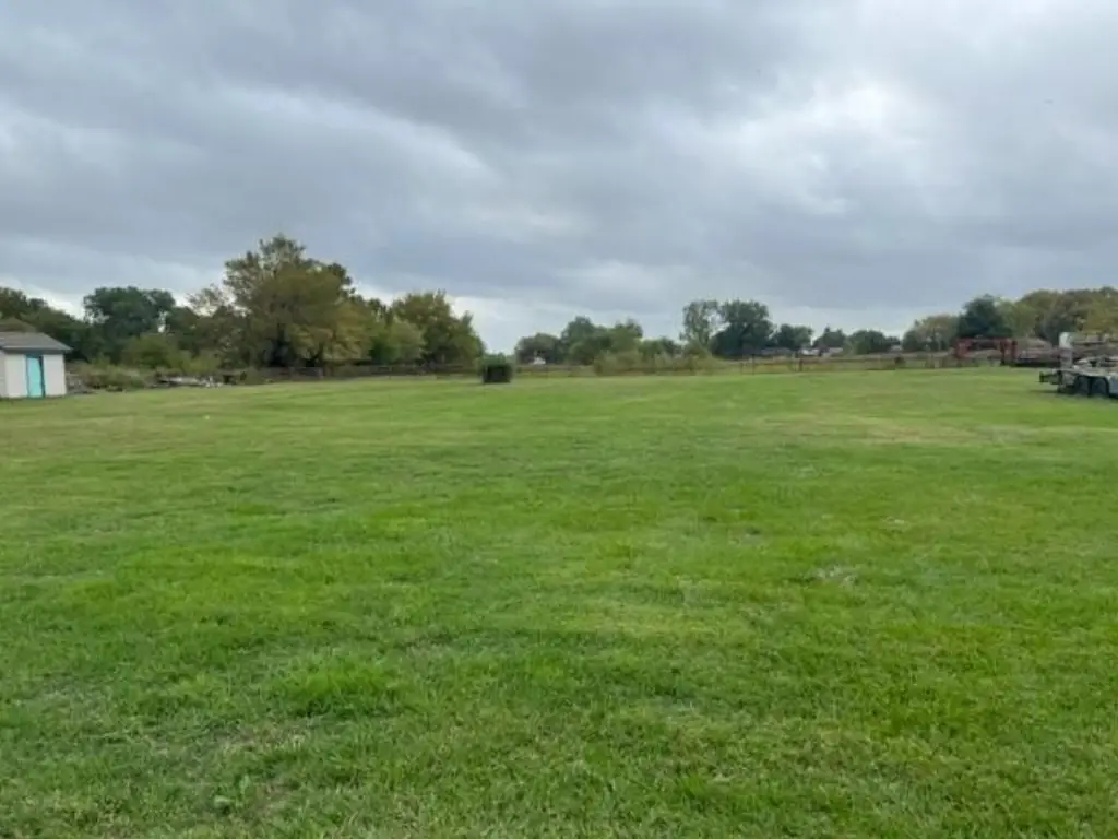 Picture 13