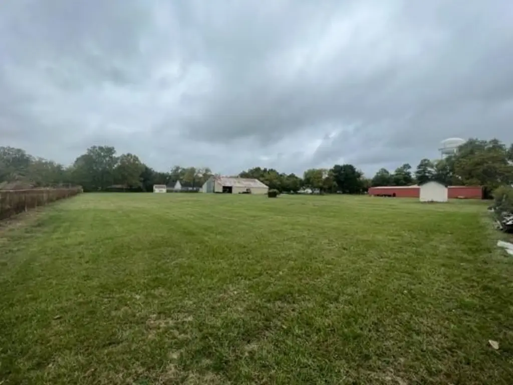Picture 9