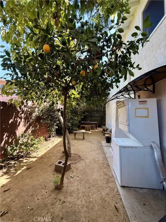 Picture 6