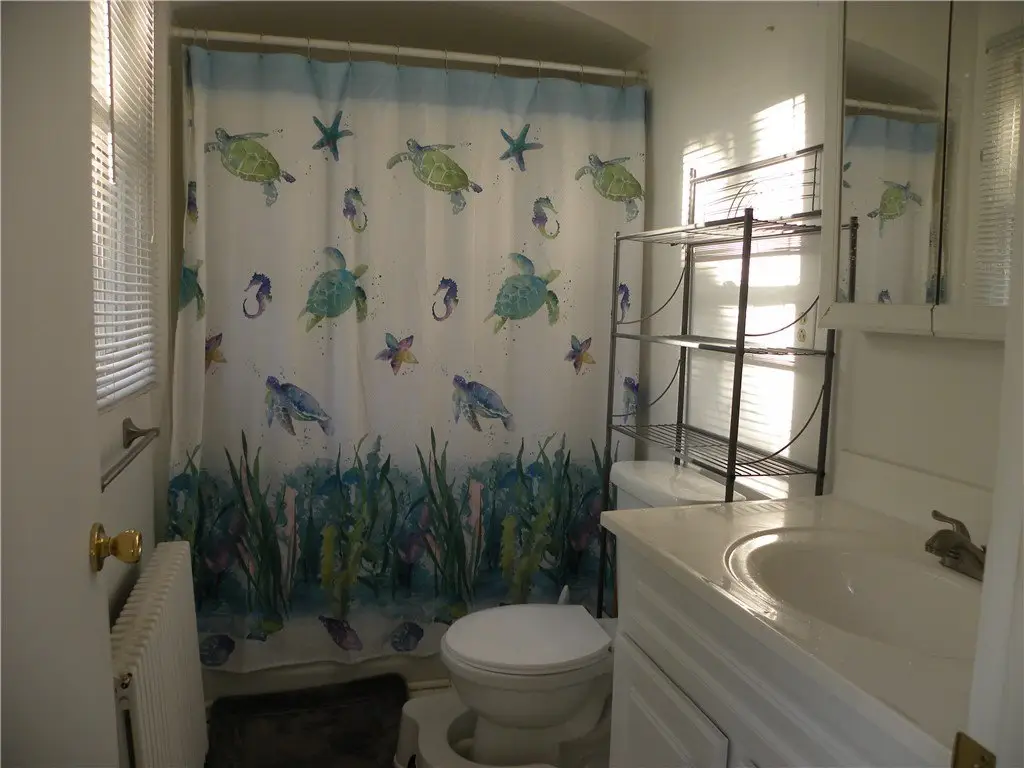 Picture 16