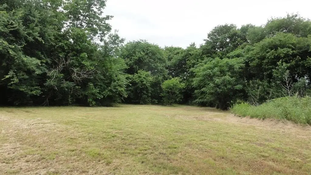 Picture 15