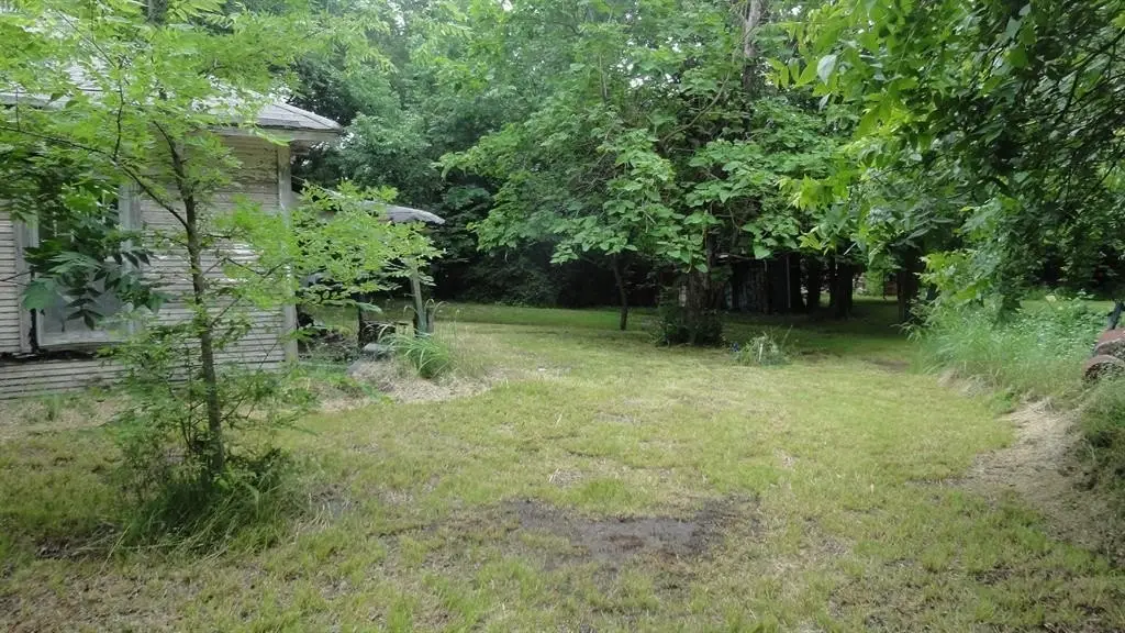 Picture 4