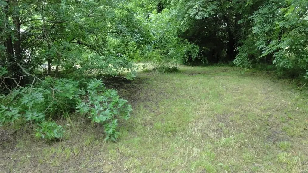 Picture 16